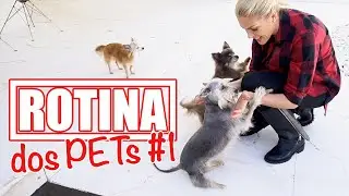 ROTINA DOS PETS #1 | MINHA ARCA DE NOÉ
