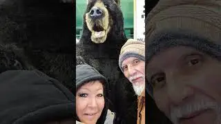 Part 7 Feb. 2nd. '24. Exploring the City of Anchorage. Video Clip