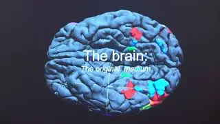The Eye's Mind: Olivia Parker, Sean O&rsquo;Neill, Bevil Conway, Rosamond Purcell