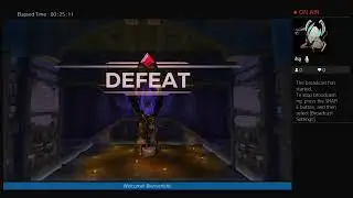 Paladins