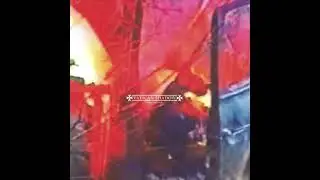 Vatican Shadow - Ornamented Walls (full album)