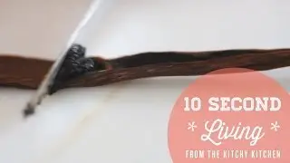 How to Scrape a Vanilla Bean // 10 Second Living