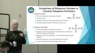 DPG Potassium Formate