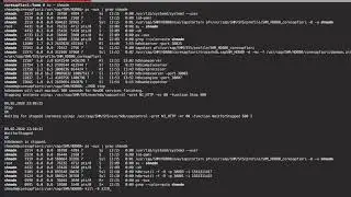How to - HANA DB Manual Backup on Suse Linux