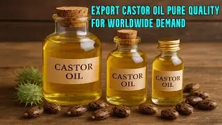 Export Castor Oil &mdash; Pure Quality for Worldwide Demand