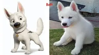 Dogs Cartoon Character In Real Life | Superheroes In Real Life As Dogs