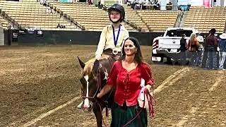 From Marshmallow to Marvel: The Inspirational Success Story of a Little Mustang