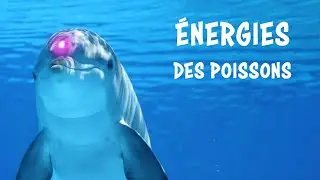 L'aura des poissons ✨ Message des Ondines ✨