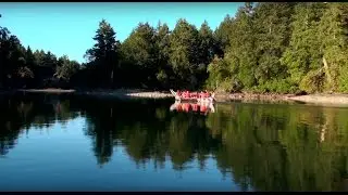 Vancouver Island Cedar - Wilderness International