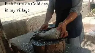 Fish Party in My Village  (Pakistan)