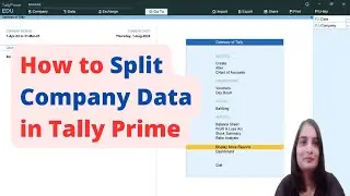 How to Split Company Data in Tally Prime| How to Change Financial Year in Tally|