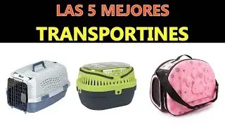 Mejores Transportines 2020