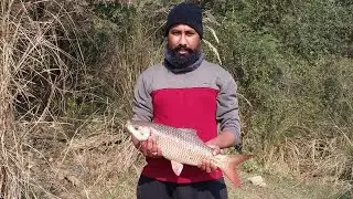 Mangla brutti ka Rahu || 5 no point 6kg. #fish #fishing #carpfish #fishinglife #freshwaterfish 