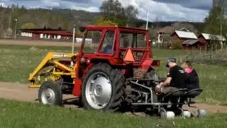 Potatissättning och morotssådd med MF 135 och Grålle #ferguson #grålle #odling #potatis