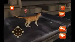 Stray Cat Simulator 13-15 Final Levels. Game COMPLETED!!!