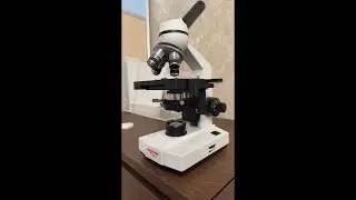 Реакция Глистов на Витамин С под Микроскопом (Reaction of Helminths to Vitamin C Under a Microscope)