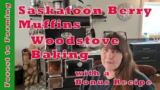 Rustic Woodstove Baking, Saskatoon Berry + Pumpkin Muffins