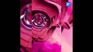 Институт цвета Pantone выбрал оттенком 2023 года Viva Magenta 18-1750
