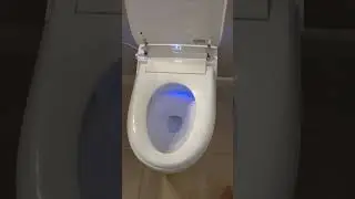 Smart Toilet Quick Review: Heated Seat, Bidet, Auto Flush & Sensor  RGB&ndash; Ultimate Bathroom Upgrade!