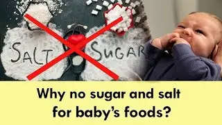 Why no sugar  no salt for babies food?