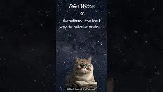 Feline Wisdom 4
