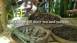 A day in Bali swing, Bali waterfalls,Bali zoo and monkey forest(Day 9  bangladeshi video vlog)