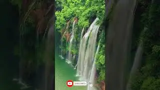 Green World Nature | Photography life #nature #greenworldnature #viral #101worldnature #naturelife