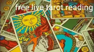 live free yes/no tarot reading +donation reading detail hindi/english .#livetarotreading