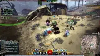 GW2 NSP Healing Ele FTW