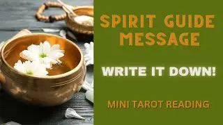 SPIRIT GUIDE MESSAGE ~ WRITE IT DOWN ~ #MINI #TAROT #READING
