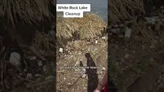 White Rock Lake Is The Prettiest And Hardest Places To Visit In Dallas. #landfill