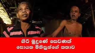 ගිරි මුදුණේ සෙවණක් සොයන දිරිය මිනිසුන්ගේ අඩහැරය