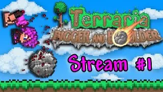 One Idiot VS Terraria 1.4.5 (Stream #1)
