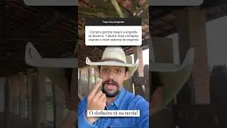 Comprar Garrote Magro ou Bezerro? Descubra Qual Op&ccedil;&atilde;o &eacute; Mais Vantajosa para Engorda! #pecuaria #boi