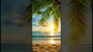 FREE Copyright & Download |BOKEH DREAM ✨ Tropical Sunset Serenity| Relaxing Music 4K Nature #shorts