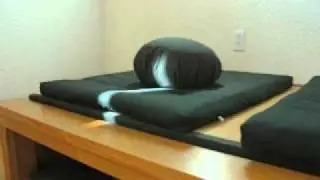 Zen Meditation Lecture: Appearances
