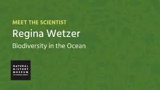 Meet the Scientist: Dr. Regina Wetzer, Marine Biodiversity Center