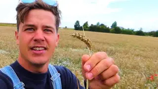 WILLEN WIJ BOER WORDEN IN DENEMARKEN?🫢