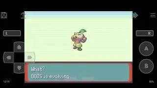 How to evolve nuzleaf , Pokemon Emerald