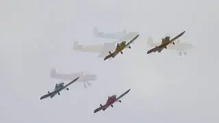 Shuttleworth Family Day 2019