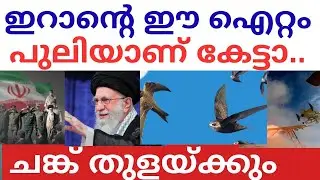 അമേരിക്കൻ കപ്പൽപ്പടയെ തുരത്താൻ വെട്ടുക്കിളിക്കൂട്ടം | America Iran War Updates |