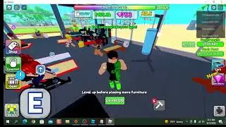 gym tycoon