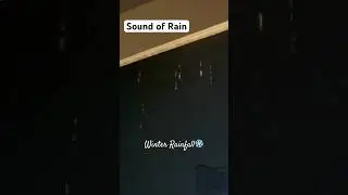 Winter Rainfall ❄️ Sound Of Rain Cinematic Video 4K Indian winter rainfall December #raindrops