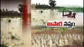 Floods Hit Godavari District | Causes Huge Crop Loss to Konaseema Farmers