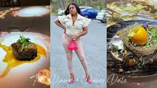 DC VLOG | FINE DINING WITH THE ARTS ST. REGIS WASHINGSTON DC HOTEL + DINNER DATE/Shellyposhlifestyle
