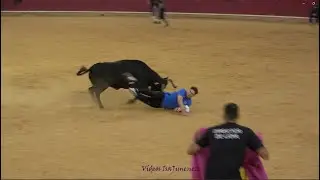 Zaragoza &ndash; Ma&ntilde;ana vaquillera 12/10/2025 &ndash; N&ordm;60/Faraona &ndash; 