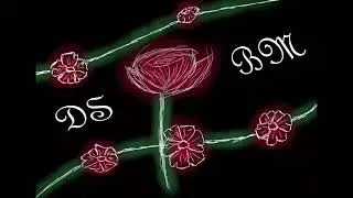 DSBM playlist