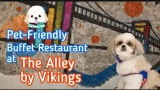 Pet Friendly Buffet Restaurant - The Alley by Vikings | Chewie the Lazy Dog