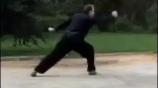 Long Fist Kung Fu Form - Quan Shr Er Shr Fa
