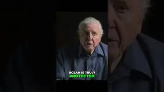 Ocean Protection  Shocking Truth Revealed! Attenborough's Plea